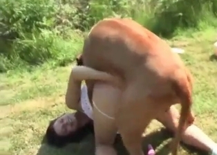 Astonishing wanton dicked by doggy