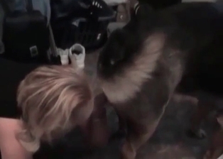 Sweet blonde gives her animal a rimjob
