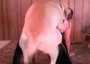 Angelic lass drilled by trained pooch