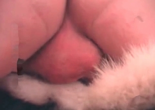 Prick of her dog is what she is looking for