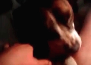 My cock is a good toy for a doggy