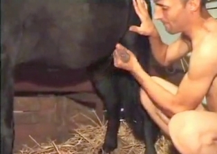 Dude helps his stallion to cum quicker