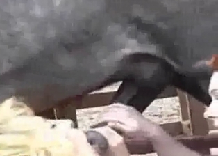 Animal and MILF enjoy bestiality sex