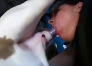 Amateur animal porn