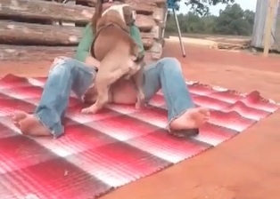 Sexy doggy and a leggy zoophile slut