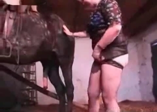 MILF pussy drilled by horny stallion
